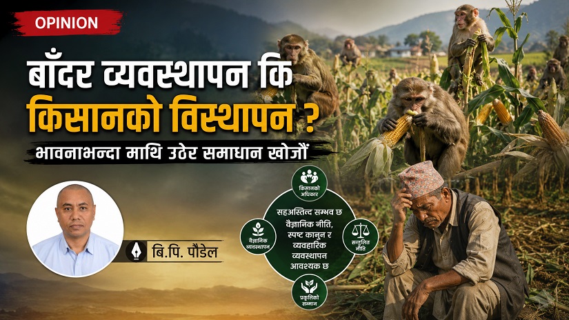 बाँदर व्यवस्थापन कि किसानको विस्थापन ?