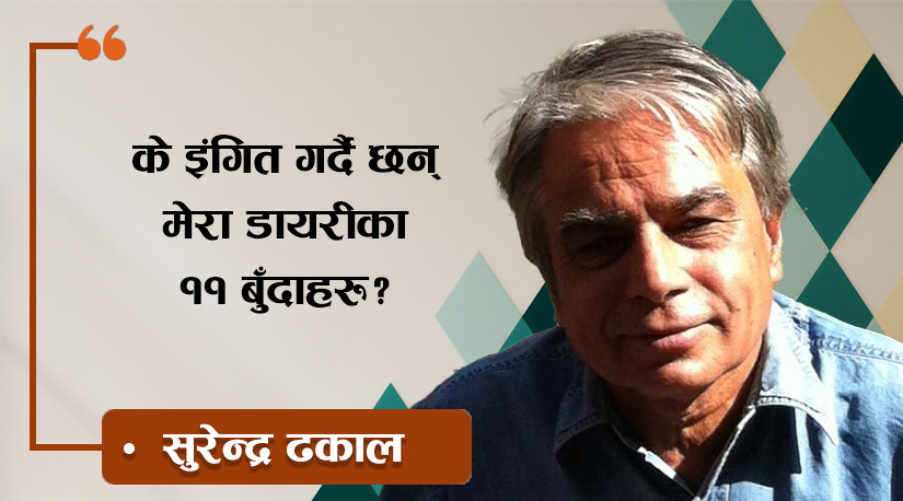 के इंगित गर्दै छन् मेरा डायरीका ११ बुँदाहरु ?